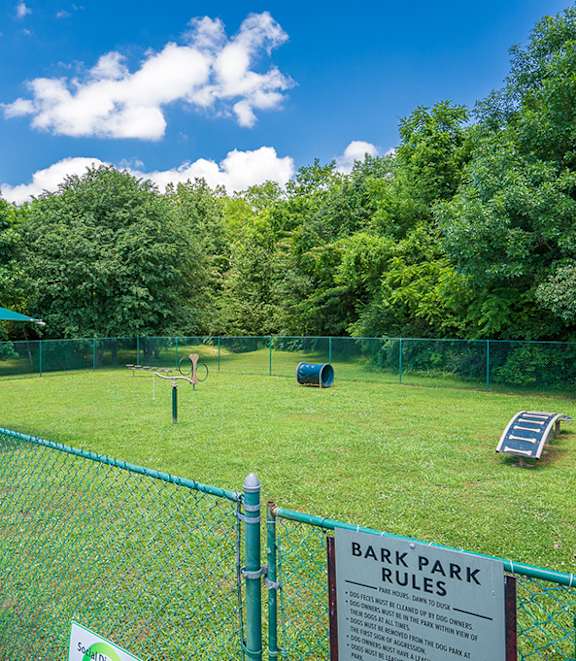 On-Premise Dog Park with Play Equipment