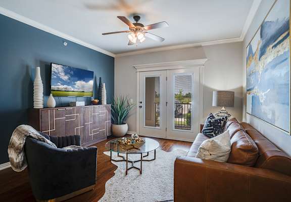 Living Room with Lots of Natural Light