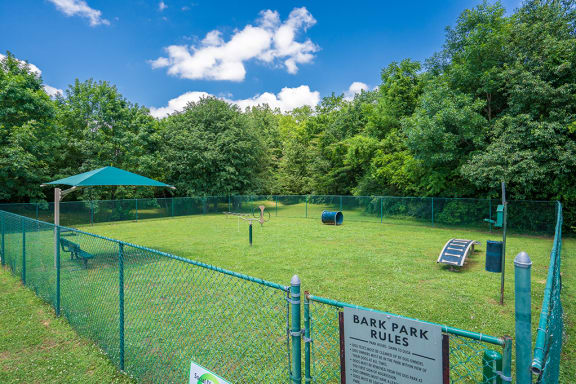 On-Premise Dog Park with Play Equipment