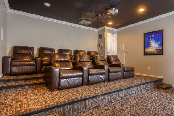 Movie Theater Seating in the Theater Room