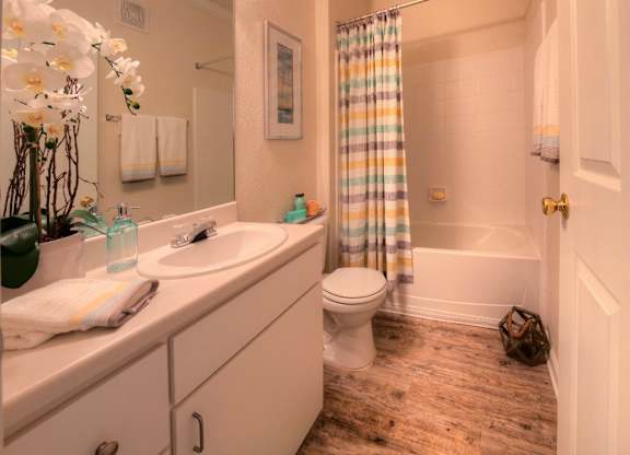 Modern, spacious bathrooms are in every Windsor Club at Legacy Park home.