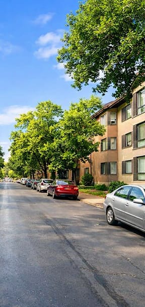 A tree-lined street with cars parked on both sides.