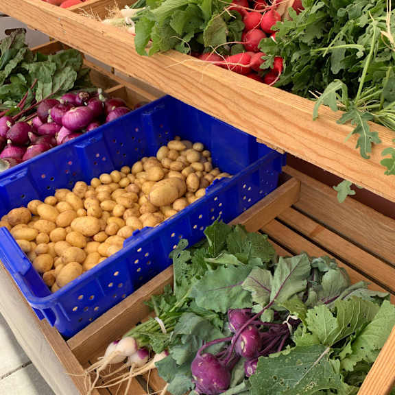 A blue container filled with potatoes sits on a wooden shelf next to a container of beets.