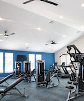 A gym with a variety of equipment including treadmills, weights, and a ceiling fan.