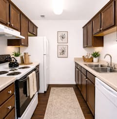 Modern living room at The Lodge Apartments, Indianapolis, IN, 46205