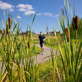A man is walking on a pathway surrounded by tall green plants.