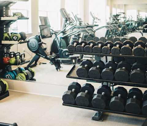 a gym with weights and racks of dumbbells at Woodlands Creekside Apartments, McDonough, GA, 30253