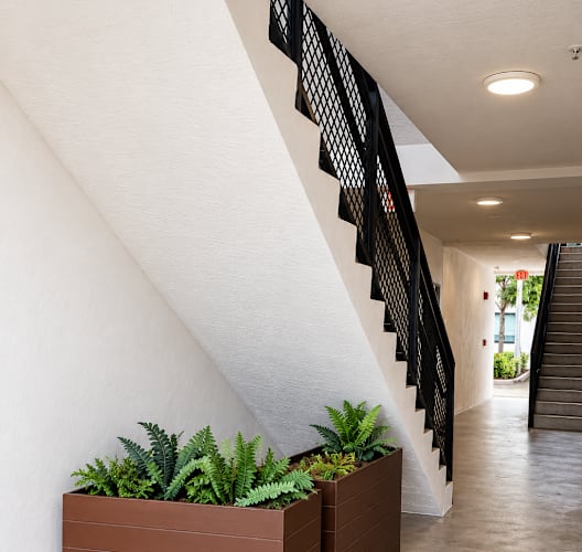 A long hallway with a staircase and a planter on the side.