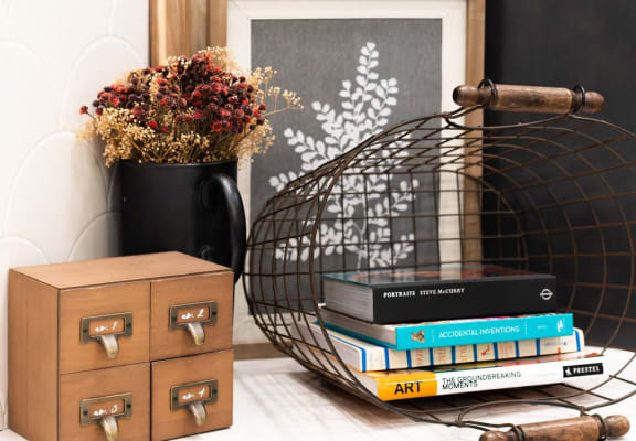 a shelf with books and a bird cage and a picture