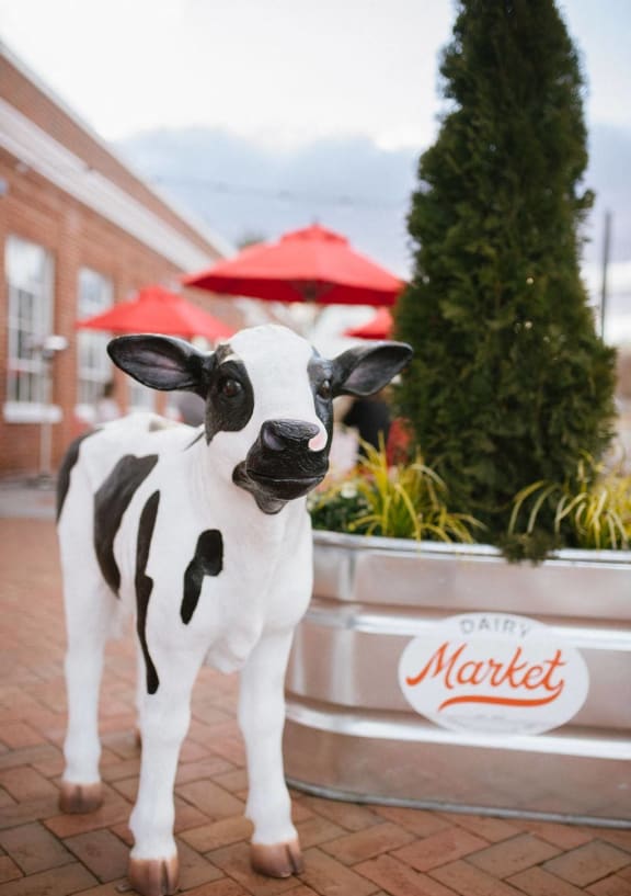 a statue of a black and white cow on a sidewalk