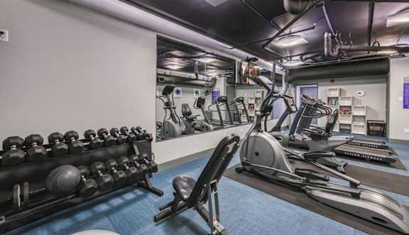 A gym with a variety of equipment including dumbbells, weight machines, and a treadmill.