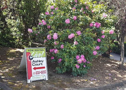 Ashley Court Sign