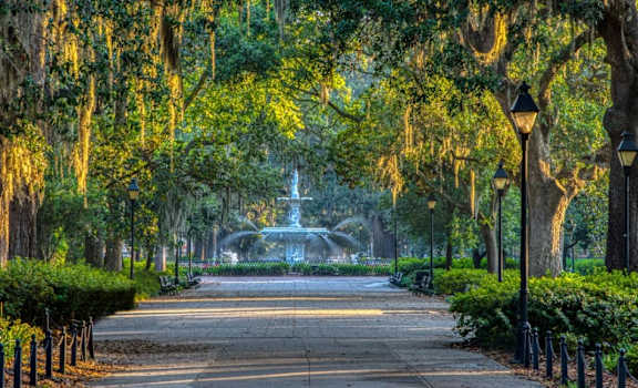 A tree-lined walkway with a fountain in the distance.