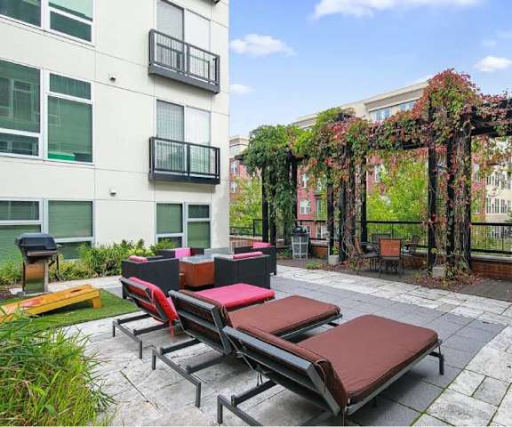 The courtyard at Blue and Lime with lounge chairs, regular chairs, a grilling station, and climbing flowers