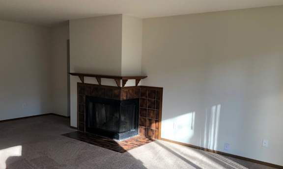 A room with a fireplace and a carpet.
