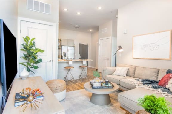 Decorated Living Room With Natural Light at The Baxly, Savannah, Georgia