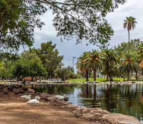 A serene park with a pond, trees, and rocks.