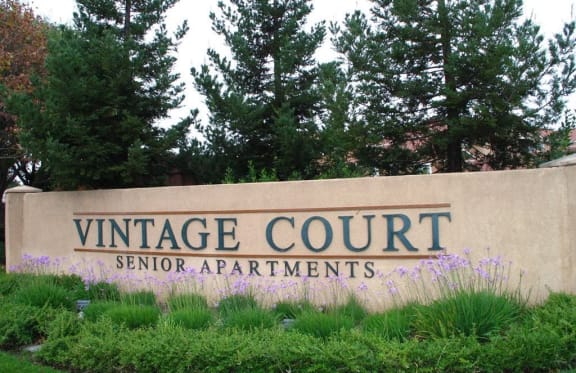 Vintage Court Senior Apartments Apartments in Union City CA