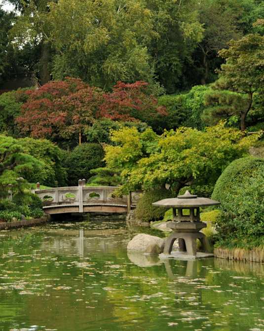 a garden with a pond and a bridge
