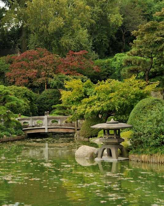 A serene pond with a small island and a bridge in the middle of it.