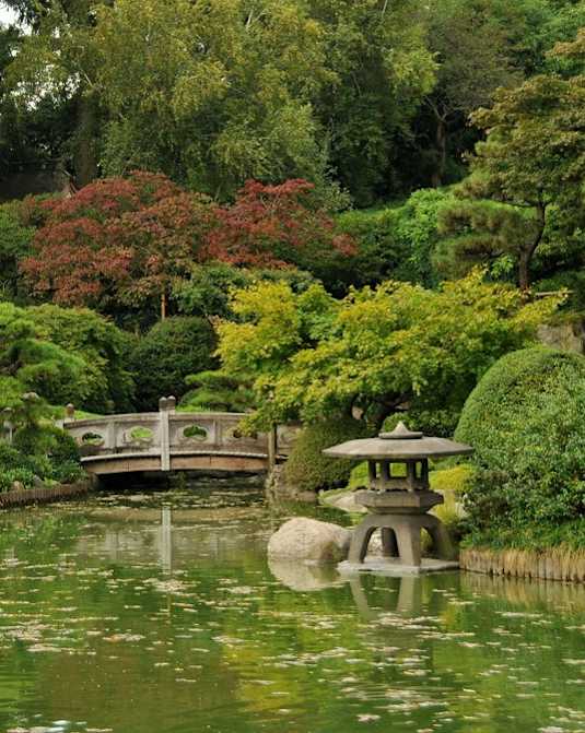 A serene pond with a small island and a bridge in the middle of it.