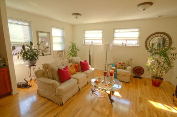 Model living room with hardwood floor, four windows and charming decor