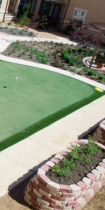 A small putting green in a backyard.