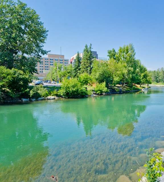 A serene lake surrounded by lush greenery and buildings in the distance.