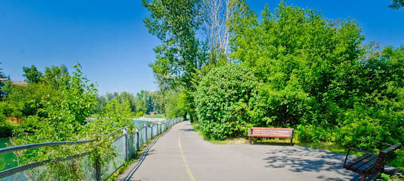 A paved path with a bench and trees on both sides.