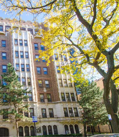 A tall building with a yellow tree in front of it.