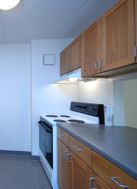 Kitchen at South Haven, Minnesota