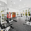 A gym with treadmills, exercise bikes, and weight machines.