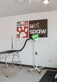 Room at LOFT 205 Apartments, Reno, NV