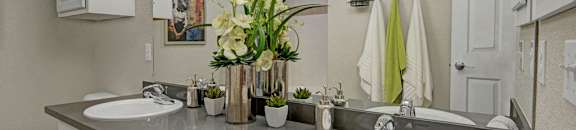 Primary Bathroom with Double Vanity | Apartments For Rent In Scottsdale AZ | The Catherine Townhomes