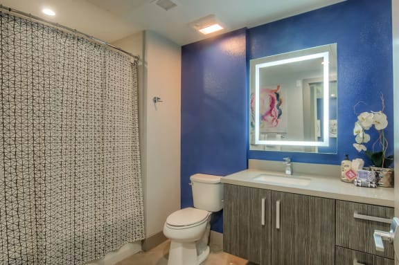 Modern Bathroom Finishes at The Mansfield at Miracle Mile, California