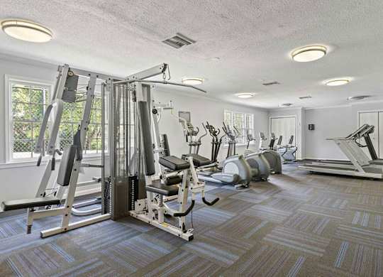 the gym is equipped with a slew of weights and cardio equipment