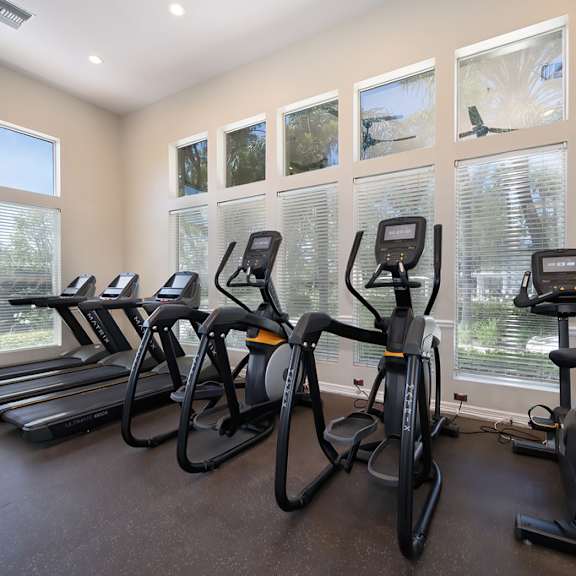 A row of treadmills are lined up in a gym.