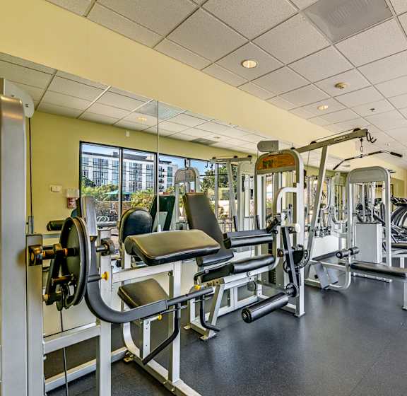 the gym at the runnymede on best student halls of residence