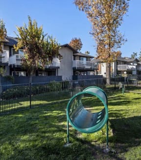 our apartments showcase a large yard with a trampoline at Aspire Redlands, Redlands, CA