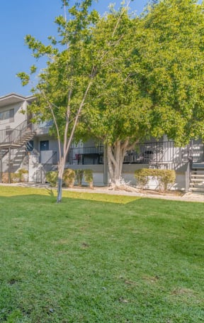 the preserve at ballantyne commons apartment community with grass and trees at BLVD Apartments LLC, Tarzana, CA 91356