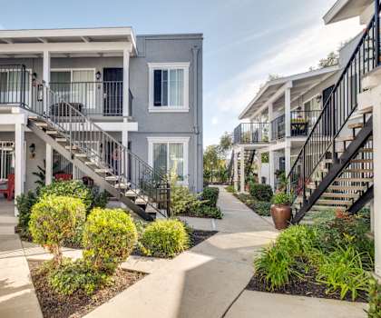 A row of townhouses with a concrete walkway and landscaping in the foreground.