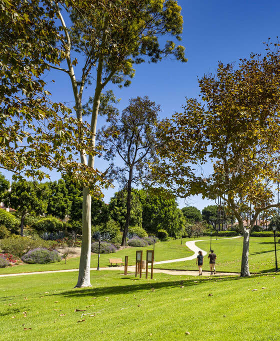 a park with trees and a path in the grass at La Jolla Blue, San Diego, CA, 92122