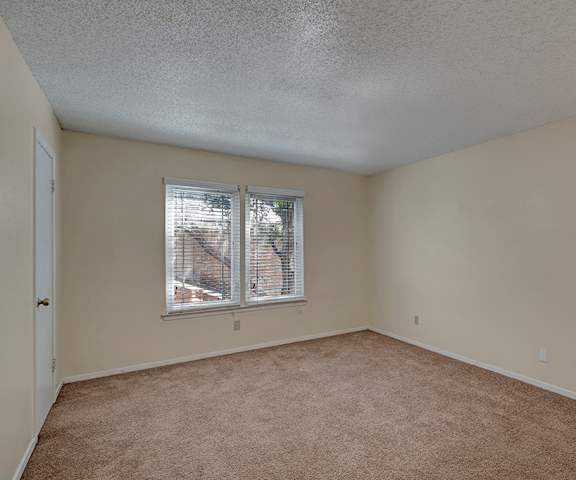 A large, empty carpeted bedroom with overhead lighting and a window at Summertree Place Residences. 