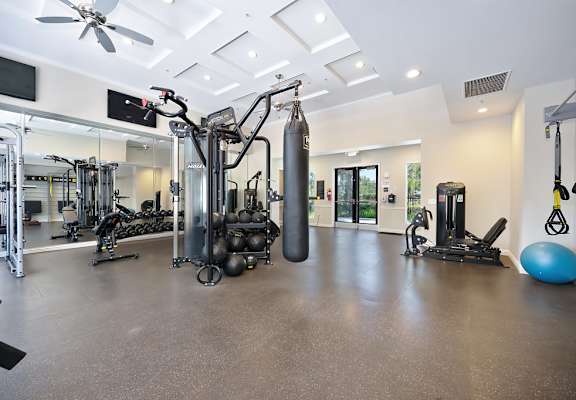 A spacious gym with a variety of equipment including a punching bag, weight machines, and a blue exercise ball.