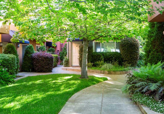 a tree in front of a house
