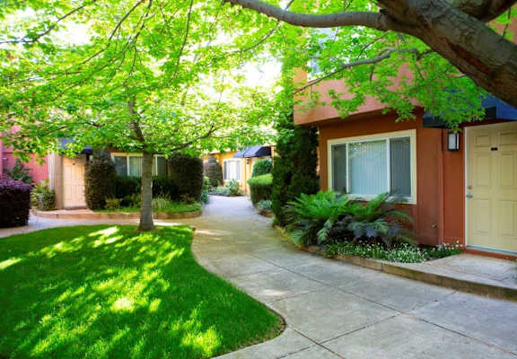 a sidewalk in front of a house with green grass and trees