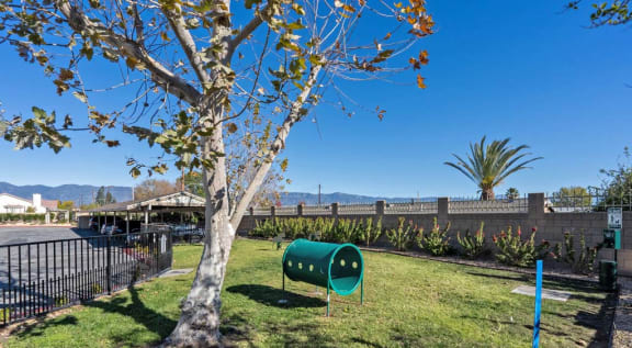 a large grassy area with a tree in the foreground and a parking lot in the background at Aspire Rialto, Rialto, 92376