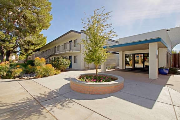 the courtyard in front of a building with a tree in the center