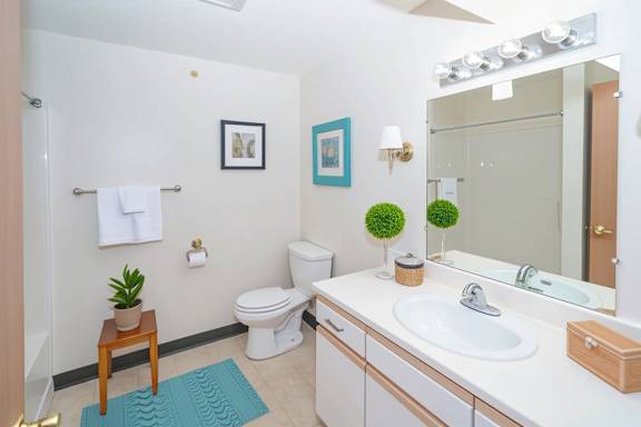 Phase 1 Bathroom