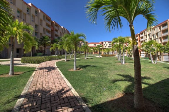 a park with palm trees in front of an apartment building